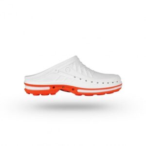 Clog 01