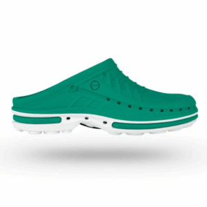 Clog 06